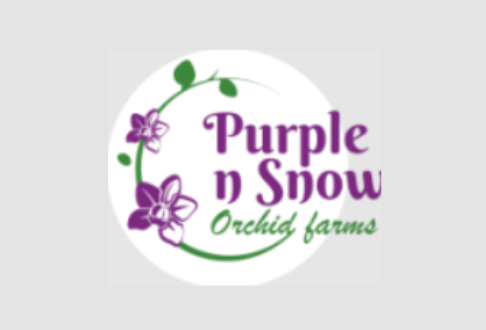 purplensnow
